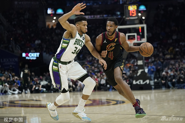 维斯塔潘目 维斯塔潘目